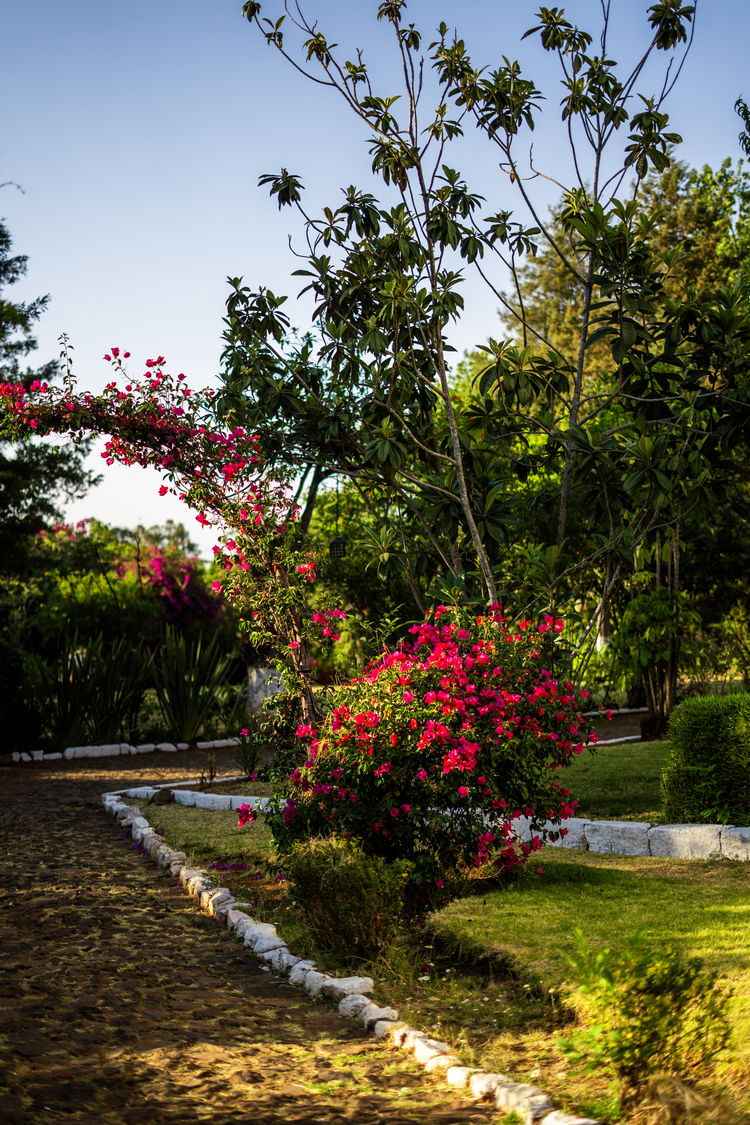 Jardines Hotel Best Western Posada de Don Vasco, Pátzcuaro Michoacán
