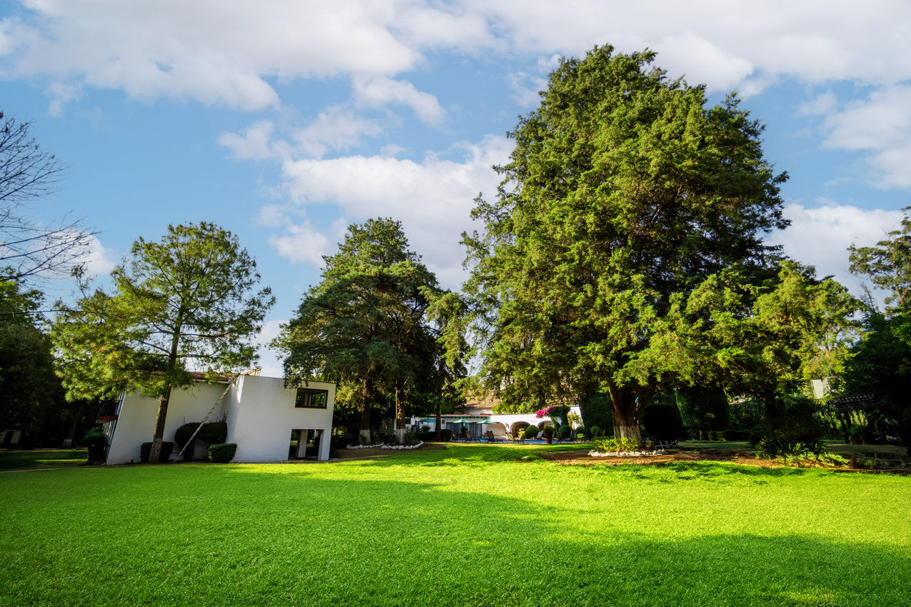 Jardines Hotel Best Western Posada de Don Vasco, Pátzcuaro Michoacán
