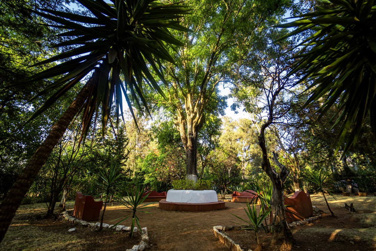 Jardines Hotel Best Western Posada de Don Vasco, Pátzcuaro Michoacán